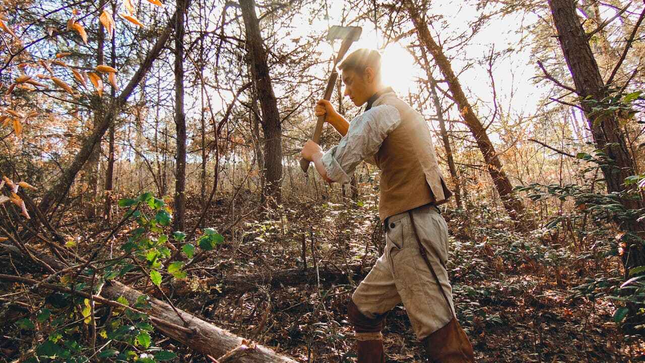 Best Tree Trimming Near Me  in Ludington, MI